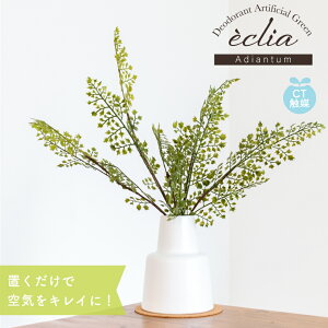 tFCNO[ AWA^  ϗtA rO _CjO CeA i` Vv L R CTG} A Mtg ECLIA LTCY LA[eBtBVO[ KH-612