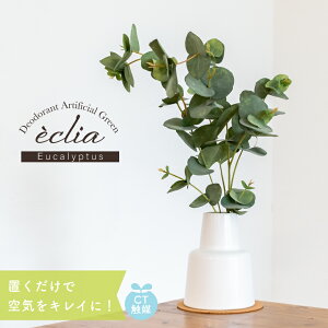 tFCNO[ [J  ϗtA rO _CjO CeA i` Vv L R CTG} A Mtg ECLIA LTCY LA[eBtBVO[ KH-61258