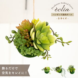 nMO ϗtA  CeA A  tFCNO[ tFCN O[ {[ L R gC  rO CTG} Mtg {[ Ђ ECLIA GNA STC