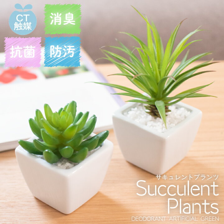 楽天市場 フェイクグリーン 人工観葉植物 造花 多肉植物 おしゃれ リビング ダイニング 玄関 キッチン トイレ ナチュラル 雑貨 グリーン 消臭 防汚 抗菌 寄せ植え Ct触媒 ギフト プレゼント Succulent Plants サキュレントプランツ おしゃれインテリアのampoule