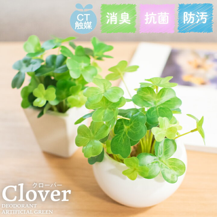 楽天市場 フェイクグリーン 四つ葉 クローバー 人工観葉植物 造花 消臭アーティフィシャルグリーン おしゃれ リビング ダイニング 玄関 キッチン トイレ ナチュラル グリーン 消臭 防汚 抗菌 寄せ植え Ct触媒 ギフト プレゼント Clover シロツメグサ おしゃれ
