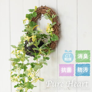 ナチュラル キッチン ガーデニング 観葉植物の人気商品 通販 価格比較 価格 Com