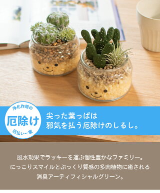 楽天市場 フェイクグリーン 多肉植物 サボテン 風水 バニーカクタス 人工観葉植物 造花 消臭アーティフィシャルグリーン おしゃれ 厄除け リビング ダイニング 玄関 キッチン トイレ ナチュラル 寄せ植え Ct触媒 ギフト Famille ファミーユ Lサイズ おしゃれインテリア 楽天市場 フェイクグリーン 多肉植物 サボテン 風水 バニーカクタス 人工観葉植物 造花 消臭アーティフィシャルグリーン おしゃれ 厄除け リビング ダイニング 玄関 キッチン トイレ ナチュラル 寄せ植え Ct触媒 ギフト Famille ファミーユ Lサイズ おしゃれインテリア