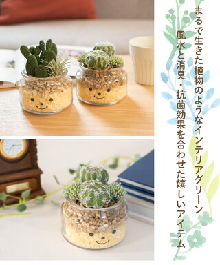 楽天市場 フェイクグリーン 多肉植物 サボテン 風水 バニーカクタス 人工観葉植物 造花 消臭アーティフィシャルグリーン おしゃれ 厄除け リビング ダイニング 玄関 キッチン トイレ ナチュラル 寄せ植え Ct触媒 ギフト Famille ファミーユ Lサイズ おしゃれインテリア