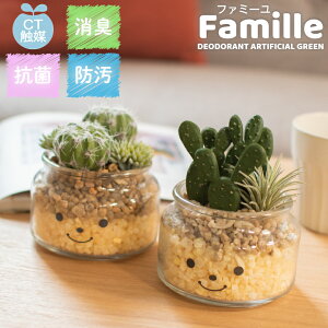 観葉植物 風水の人気商品 通販 価格比較 価格 Com