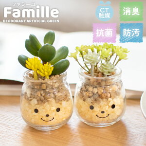 トイレ 観葉植物 消臭の人気商品 通販 価格比較 価格 Com