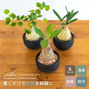 tFCNO[ A R[fbNX  ~j   CeA ϗtA A tFCN O[ EB][ tBIiN OLX Aؔ |bg  ubN 