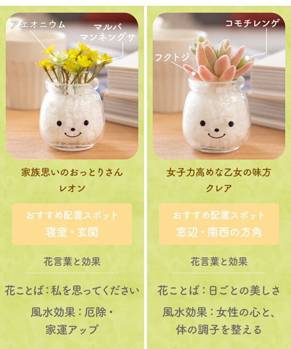 楽天市場 フェイクグリーン 多肉植物 寄せ植え 風水 人工観葉植物 造花 おしゃれ 縁起 調和 リビング ダイニング キッチン 玄関 寝室 トイレ ナチュラル 消臭 防汚 抗菌 Ct触媒 インテリア 雑貨 ギフト プレゼント 母の日 Famille ファミーユ Sサイズ おしゃれ