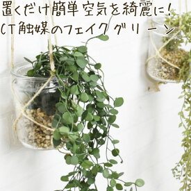 フェイクグリーン 壁掛け ハンギング おしゃれ ツタ 観葉植物 フェイク リビング ダイニング インテリア 造花 CT触媒 消臭 防汚 抗菌 鉢植え ガラス 多肉植物 ギフト ECLIA エクリア 消臭アーティフィシャルグリーン キシマ