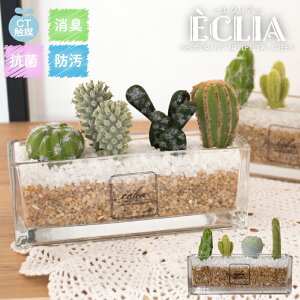 観葉植物 サボテン 寄せ植えの人気商品 通販 価格比較 価格 Com