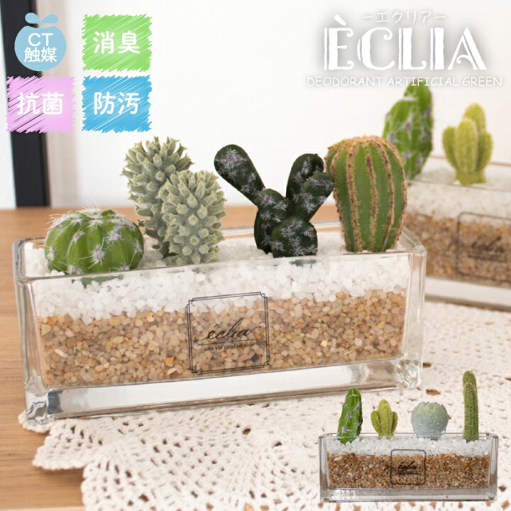 楽天市場 サボテン おしゃれ 寄せ植え フェイクグリーン ミニ 消臭 観葉植物 アーティフィシャルグリーン 造花 バニーカクタス ノトカクタス リビング ダイニング 玄関 キッチン トイレ ナチュラル 雑貨 防汚 抗菌 Ct触媒 ギフト Eclia エクリア おしゃれインテリアの