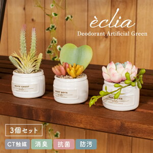 tFCNO[   񂹐A A rO _CjO  Lb` gC CTG}CeA G i` L h R  KX Mtg eclia GNA LA[