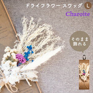 ドライフラワー 白の人気商品 通販 価格比較 価格 Com