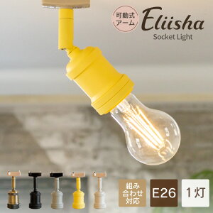 yAmpoulez V[OCg Ɩ  \Pbg E26 _Ng[ CeBO[ d 1 _CjO  gC JtF AeB[N g Ɩ AeB[NS[h u