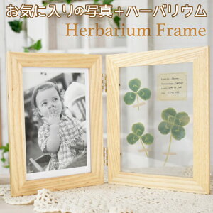 tHgt[  ʐ^ i` |XgJ[h nKLTCY rO _CjO CeA  _ Mtg t O[  KX t[ i` A HERBBARIUM 