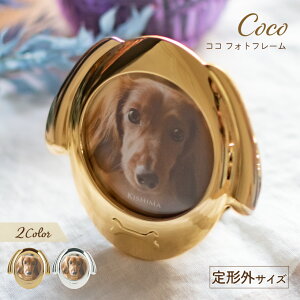 ʐ^ tHgt[   CeAt[ S[h Vo[  i ~j  CeA cu 茳{ `OTCY Mtg v[g j ybgAjo[