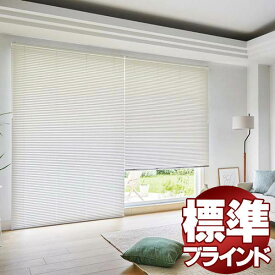 【最大ポイント23倍＋クーポン】見積もりOK！タチカワブラインド 横型ブラインド オーダー アルミ シルキー25 ブラインド