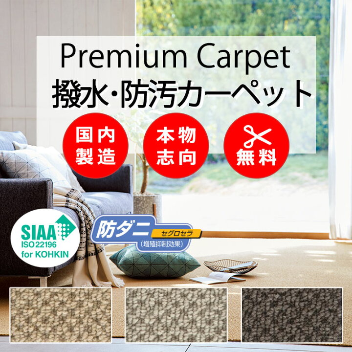 【最大10000円クーポン＋ポイント】カーペット 高級 通販 人にも環境にもやさしい サイズ内カット無料 離島以外 送料無料 アスワン  アスオーシャン：OCN 【最大ポイント28倍＋クーポン】カーペット 高級 通販 サイズ内カット無料 送料無料 アスワン 品質にこだわったカーペット ウールカーペット 抗菌  防ダニ 撥水 カーペットなど | インテリアカタオカ 