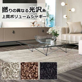 サンゲツ ラグ 絨毯 カーペット マット ボリュームシャギーラグ 風音 RUG-1721～1723-W（200cm×250cm）