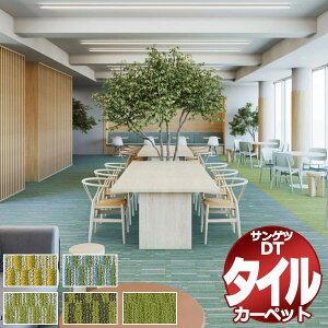 TQc ^CJ[ybg DT-5060 F-eco J[gWVEpm} F / UCN F ꖇPʂŔ̔ /ꖇ̃TCYF50cm×50cm