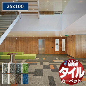 yzX~mG Ɩp ^CJ[ybg iD-1100EP AQUASTROKE 1P[XPʂŔ̔ i1P[X/12j/1F25x100cm