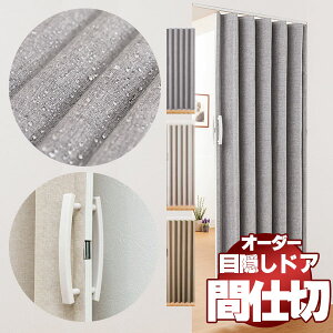 t@ubNhA SV-2 Ԏd؂ Hꂽ\tgȐñAR[fIhA I[_[