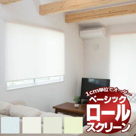 ロールスクリーン 目隠しや間仕切りとしても使用可能 ロールカーテン 木ネジタイプ 既製品 エクシヴ 無地タイプ ●幅45x高さ135cm