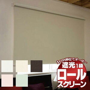 [XN[ ډBԎd؂ƂĂgp\ [J[e ؃lW^Cv i GNV Ռ^Cv 80x220cm
