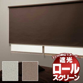 ロールスクリーン 目隠しや間仕切りとしても使用可能 ロールカーテン 木ネジタイプ 既製品 トッティーノ 遮光タイプ ●135×220cm
