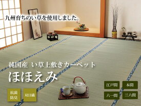 【ポイント最大22倍・送料無料】純国産 い草 上敷き カーペット 双目織 『ほほえみ』 本間4.5畳(約286×286cm）