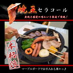 焼肉プレート 室内 バーベキュー グリル 煙が気にならない お部屋OK 軽量で収納楽 ダイエット 遠赤外線効果でおいしく焼ける セラコール炭火焼器 CE-401