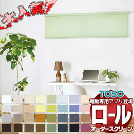 【最大ポイント23倍＋クーポン】プレーン ロールスクリーン 標準プルコード コルト 非ウォッシャブル生地 TR-6425〜TR-6456