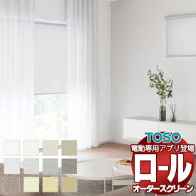 【最大ポイント23倍＋クーポン】テクスチャー ロールスクリーン 小窓チェーン ルノファブ ウォッシャブル生地 TR-6089〜TR-6112