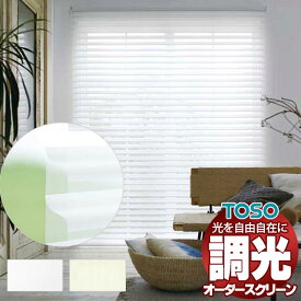 【最大ポイント23倍＋クーポン】調光ロールスクリーン トーソー 光を自由自在 ビジック ムース 非ウォッシャブル生地 TR-6739〜TR-6740