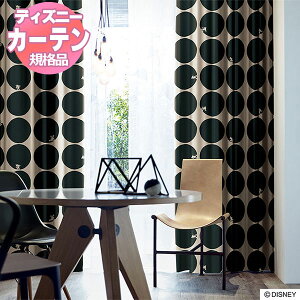 yz J[e fBYj[z[V[YEDTION.11~bL[^XR[v100x178cm