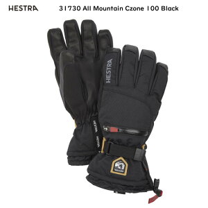 wXg HESTRA All Mountain Czone XL[O[u   5{w \ h