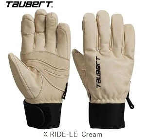g[o[g O[u 2025 TAUBERT TAUBERT X RIDE-LE Cream 24-25JP NXCh lpO[u XL[ Xm{