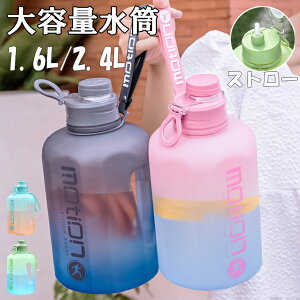  e ڐ 1.6bg 2.4bg X|[cWO Xg[  nht l ǂ q X|[c X|[c{g Lvp AEghA y vX`bN Vv IV