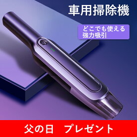 楽天市場 強力耳掃除機の通販