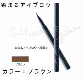 【送料無料】【正規品販売商品】セブンツーセブン 727 染まるアイブロウ／ ブラウン ／ ティント×眉毛ケア　美容成分 配合