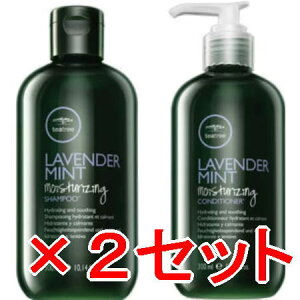 ���y���������z �|�[���~�b�`�F���^�e�B�[�c���[ ���x���_�[�~���g ���C�X�`�����C�W���O�V�����v�[ 300mL �� �R���f�B�V���i�[ 300mL�@2�Z�b�g [ �������K�i ]