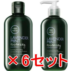 ���y���������z �|�[���~�b�`�F���^�e�B�[�c���[ ���x���_�[�~���g ���C�X�`�����C�W���O�V�����v�[ 300mL �� �R���f�B�V���i�[ 300mL�@6�Z�b�g [ �������K�i ]