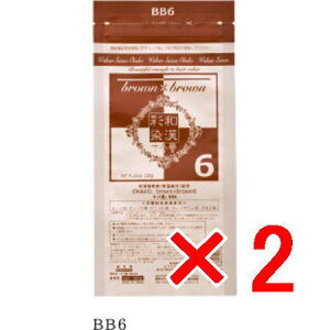 yz {OfbNX aʐ \ԁ@ BB6 120g y2zi򕔊Oij  J[O