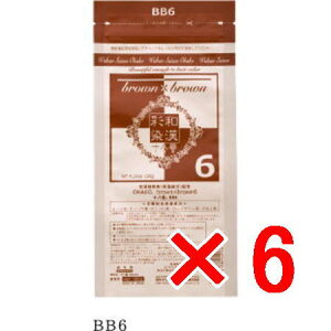 yz {OfbNX aʐ \ԁ@ BB6 120g y6zi򕔊Oij  J[O