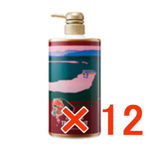 yzTj[vCX UNY_g[gg 500g |v y12z