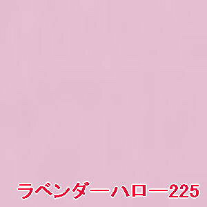 yz VEEG ^ tFCX J[ y M x_[n[ 225 ztB y2Zbgz/ shuuemura [ Ki ]@J[CNAbv