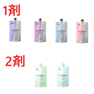 yz  vtFbVi NX^CWO Xg[g Xg[gi[ 1/4 & 2/2@Zbgi򕔊Oij