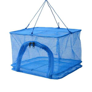 㐻쏊(ONOE) 30-1i ON-5806 [H؂̊ AEghAhCt[Y܂ oUŏoꂵՂ 30cm-1i Lv]