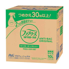 ファブリーズ【大容量 業務用】 消臭スプレー(衣類・布用) 【 W除菌＋消臭 】 香りが残らない 詰め替え 10L 30回以上分