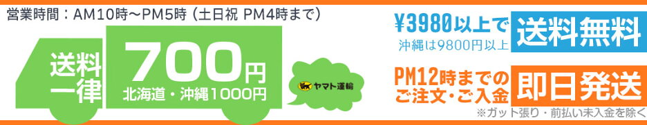 3980円以上で送料当店負担！PM12時までのご注文で即日発送！